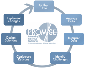 PROM/SE Process Chart